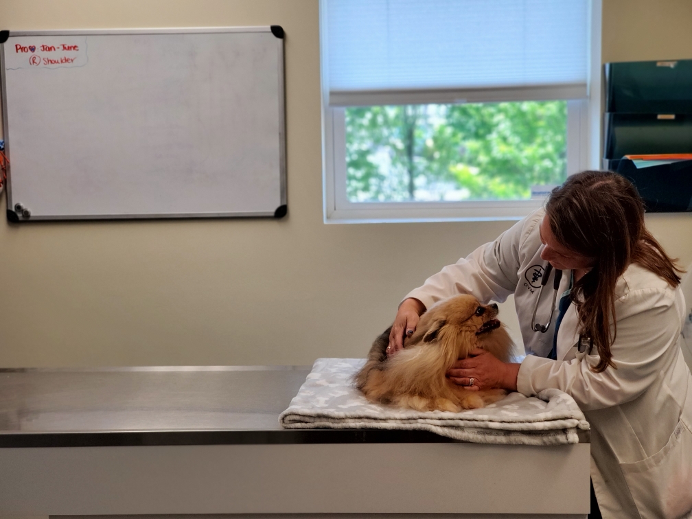 The Pet Clinic Of Urbana